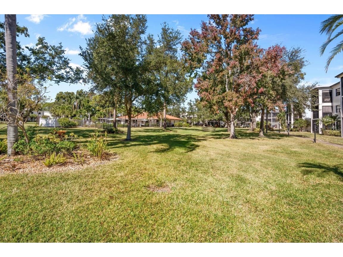 4910 Bay Street NE #105 Saint Petersburg FL 33703 TB8449285 image17