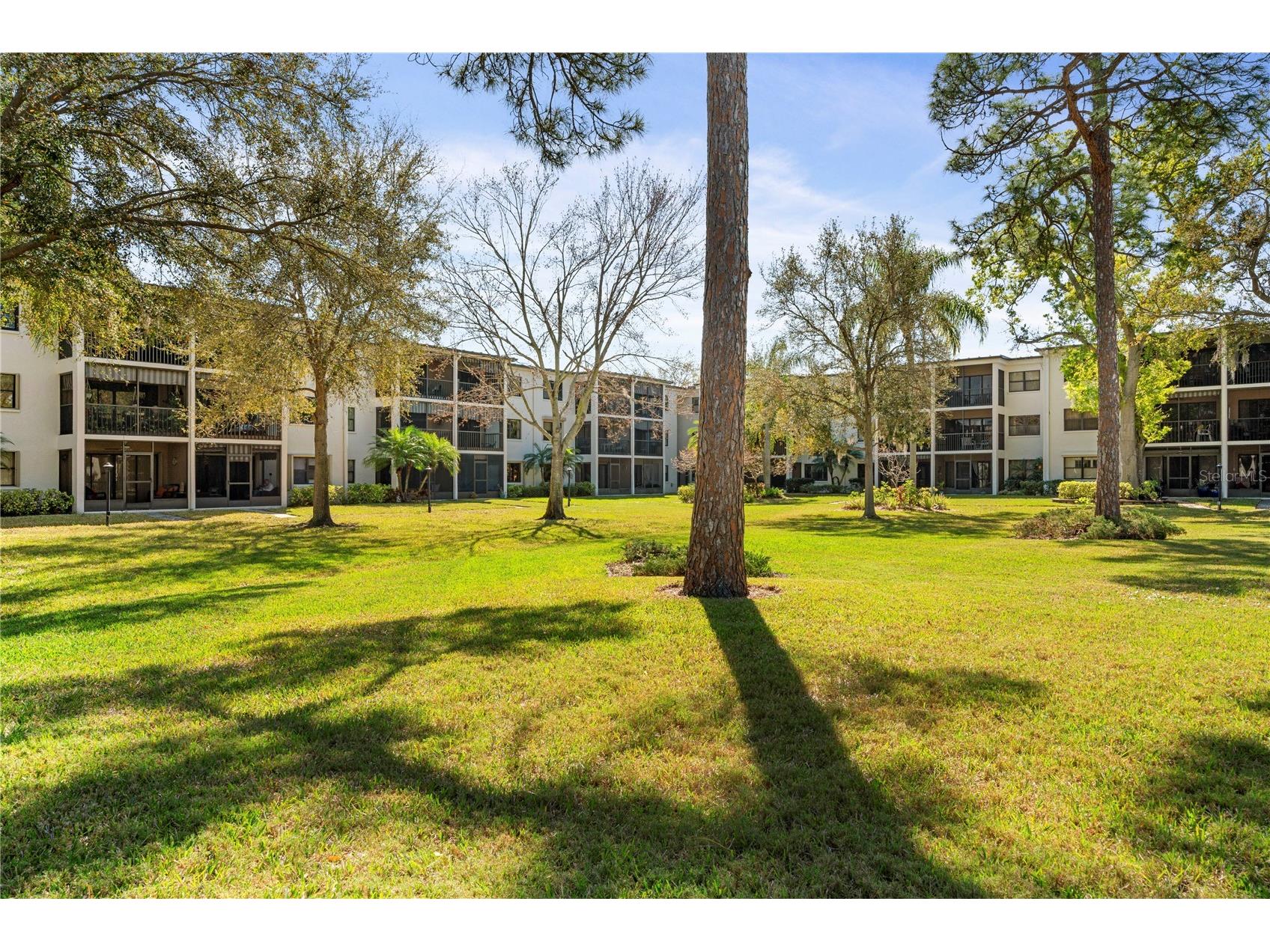 4910 Bay Street NE #311 Saint Petersburg FL 33703 TB8484453 image3