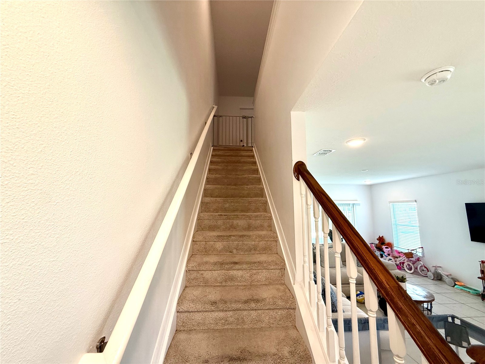 4910 Coral Castle Drive Kissimmee FL 34746 O6398986 image14