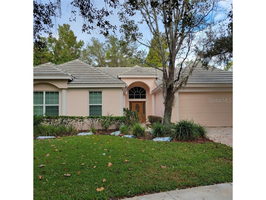 4910 Ebensburg Drive Tampa FL 33647 T3484819 image1