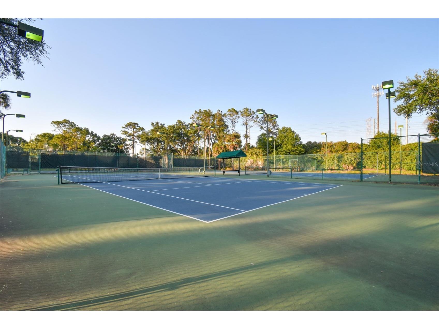 4910 Ebensburg Drive Tampa FL 33647 TB8514842 image58
