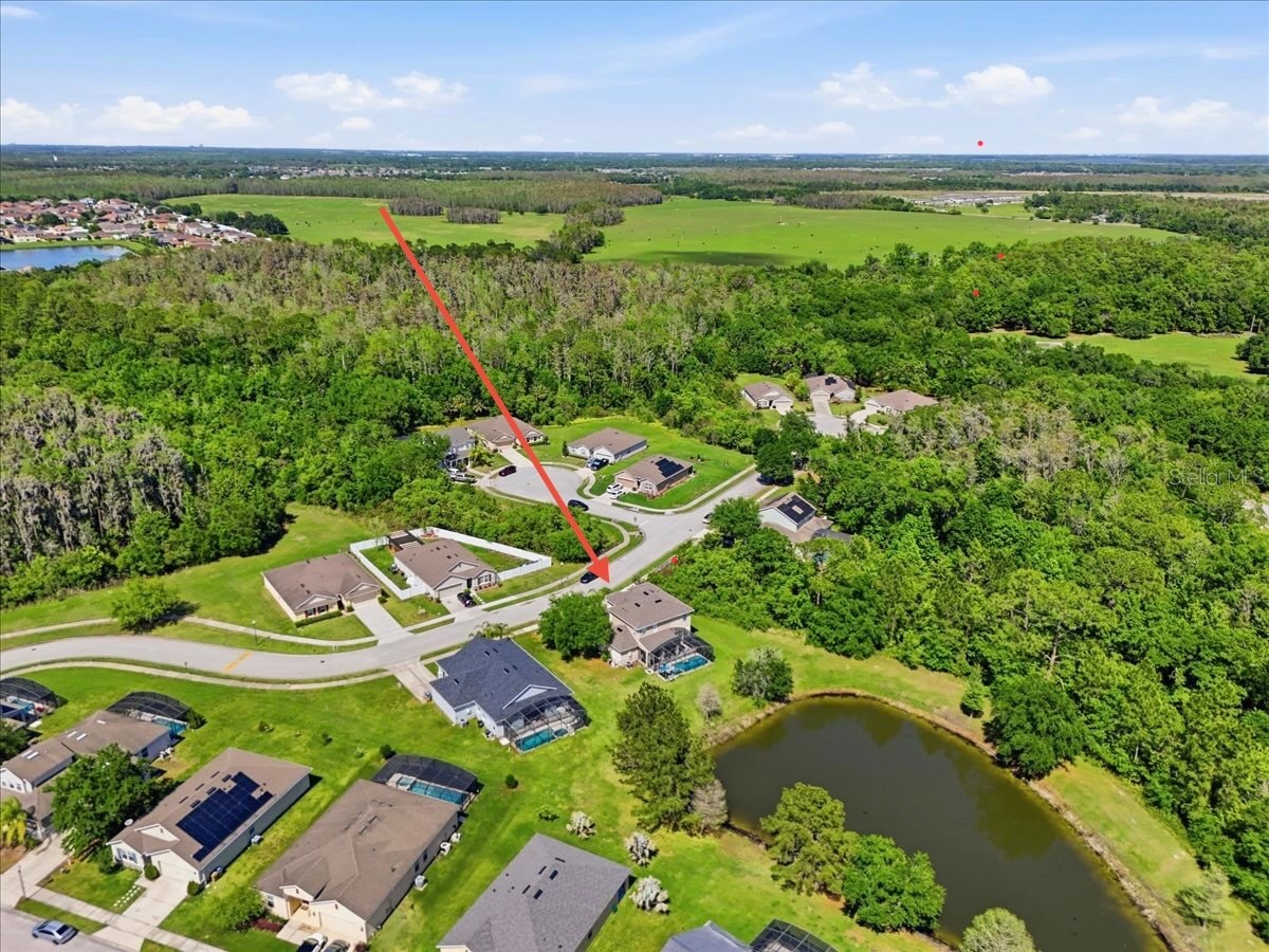 4910 Harold Stanley Drive Kissimmee FL 34758 O6379573 image28