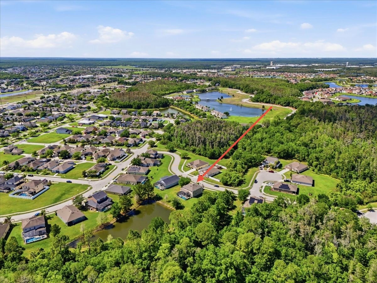 4910 Harold Stanley Drive Kissimmee FL 34758 O6379573 image30