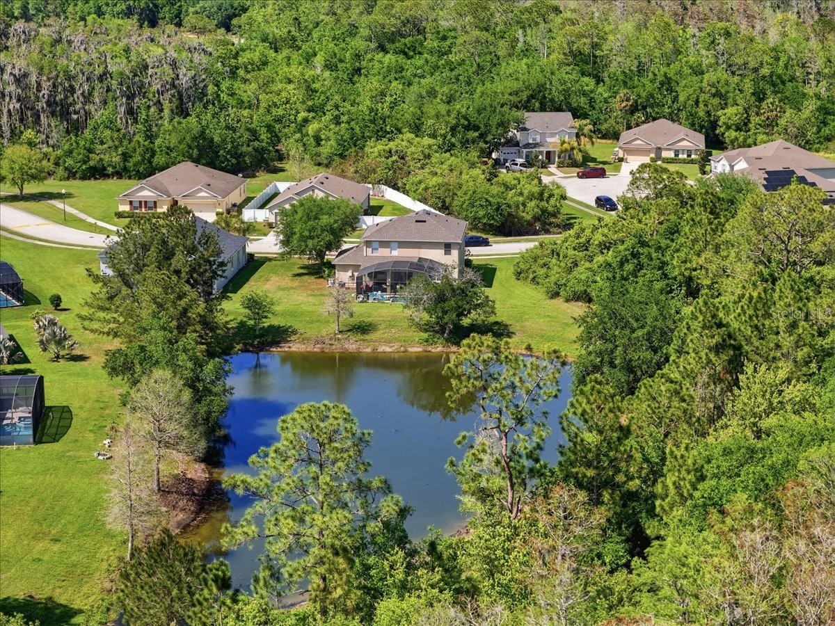 4910 Harold Stanley Drive Kissimmee FL 34758 O6379573 image31