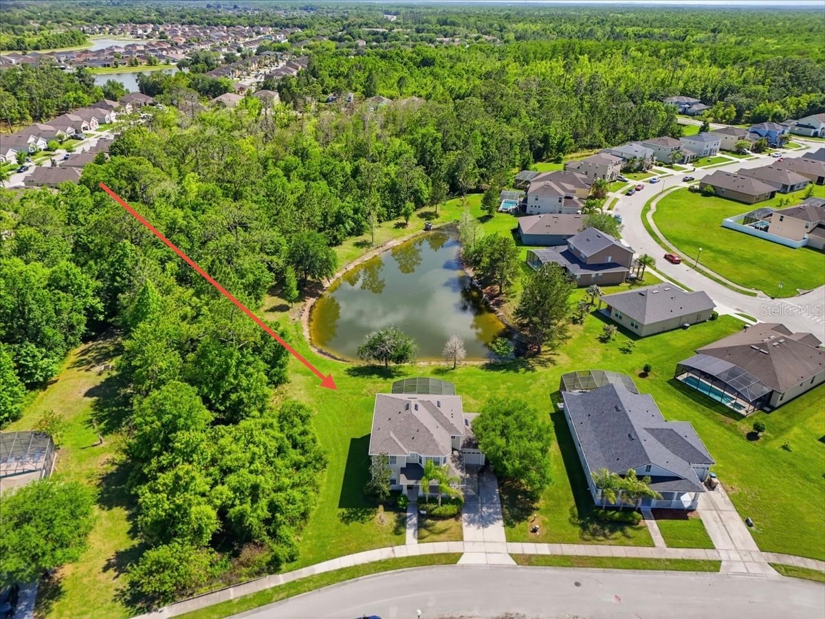 4910 Harold Stanley Drive Kissimmee FL 34758 O6379573 image32