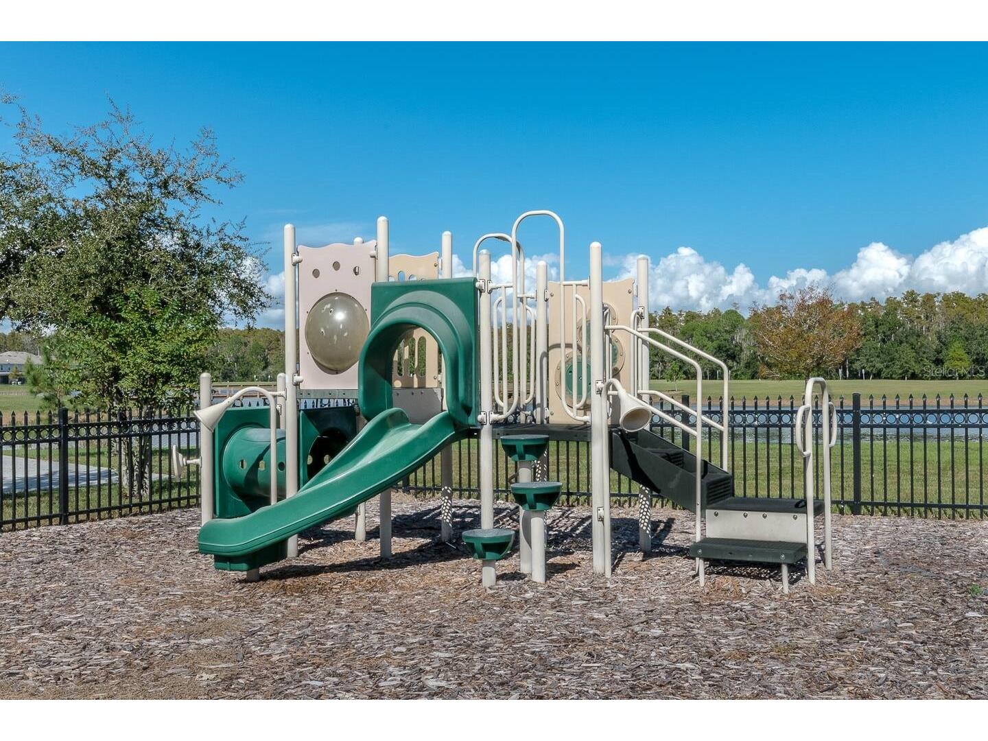 4910 Harold Stanley Drive Kissimmee FL 34758 O6379573 image47