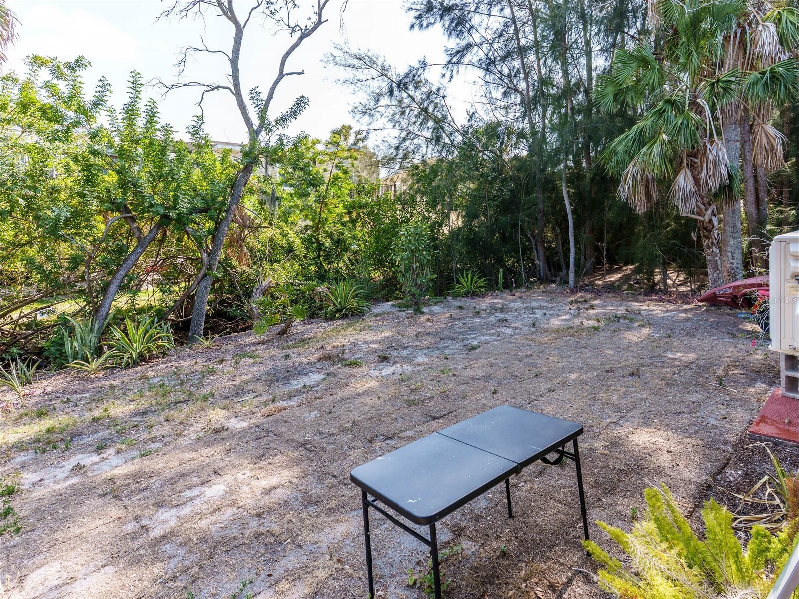 4910 Limestone Drive Port Richey FL 34668 O6404053 image15