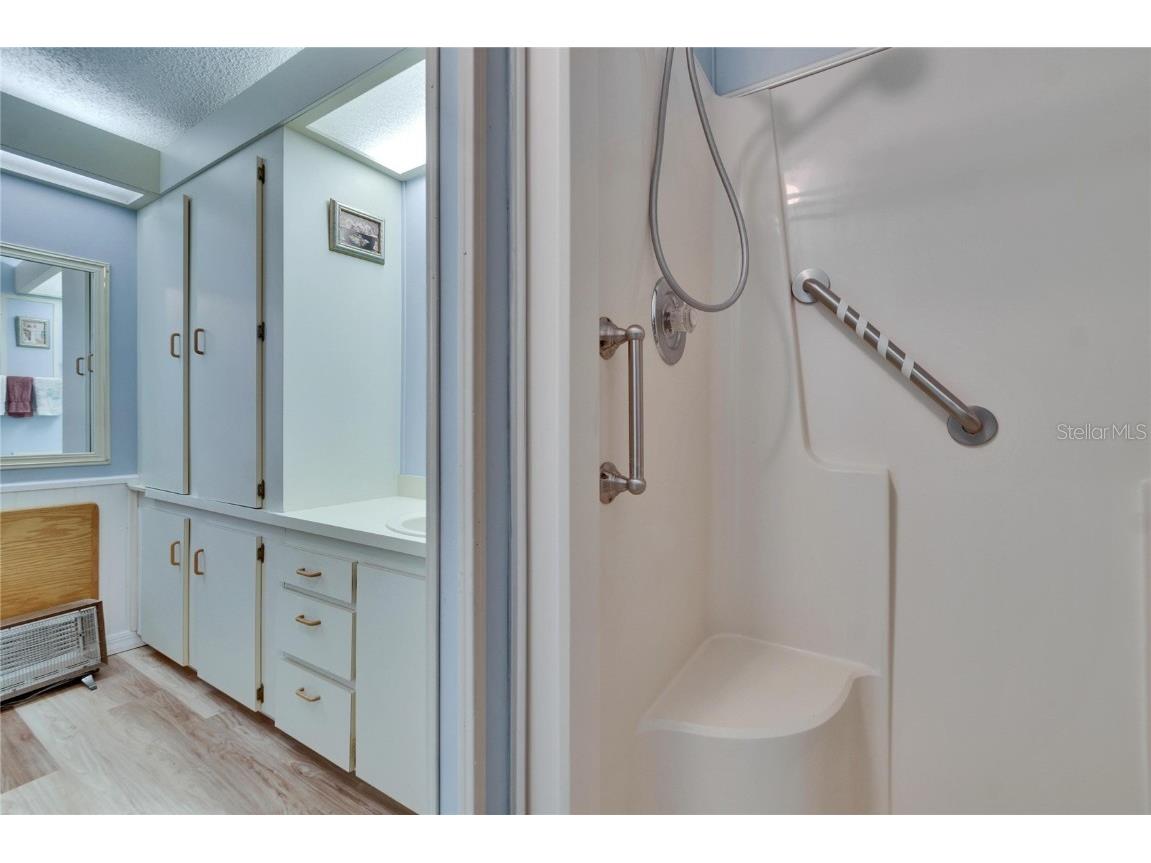 4910 Loch Ness Drive Lakeland FL 33810 L4957893 image23