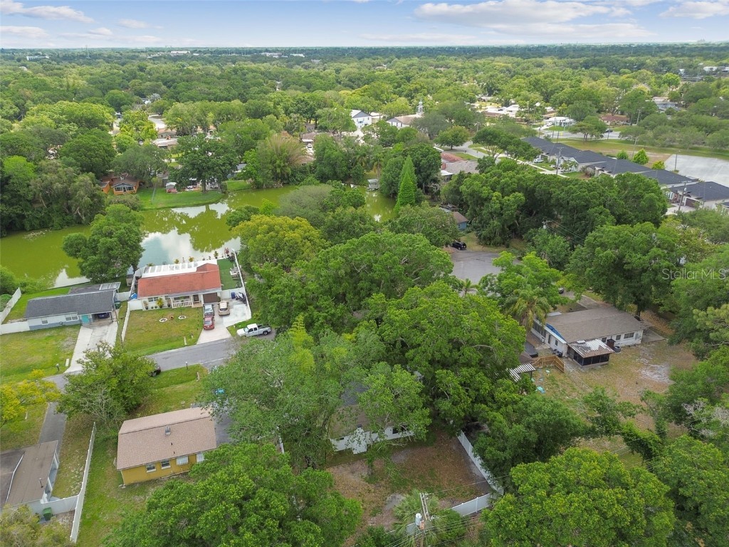 4910 N Darby Avenue Tampa FL 33603 TB8426615 image50