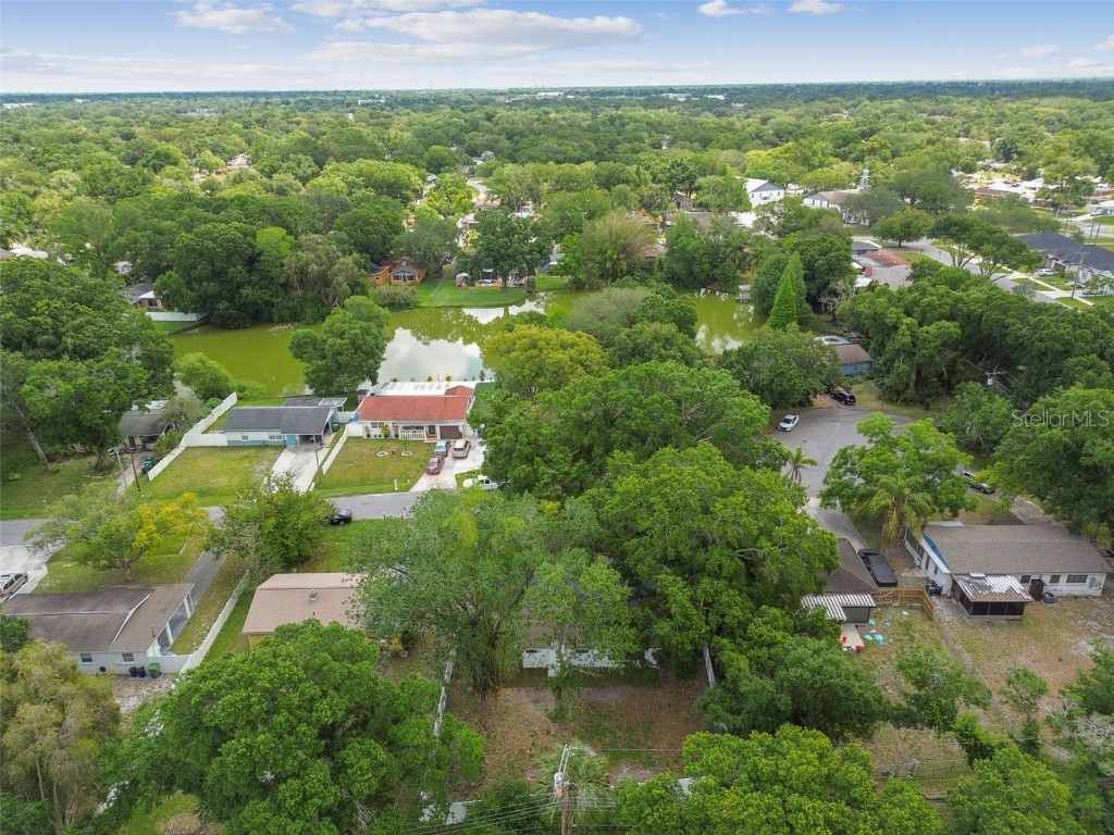 4910 N Darby Avenue Tampa FL 33603 TB8426615 image51