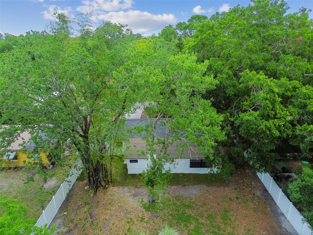 4910 N Darby Avenue Tampa FL 33603 TB8426615 image52