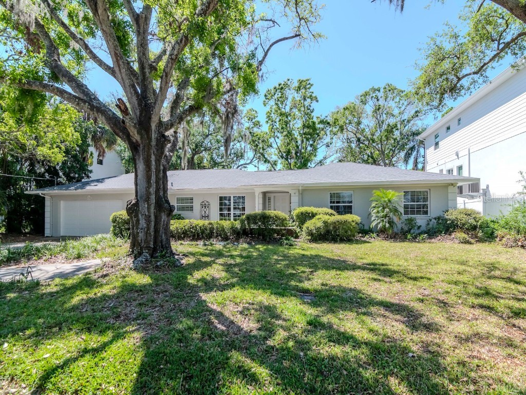 4910 W Juno Street Tampa FL 33629 TB8365968 image1