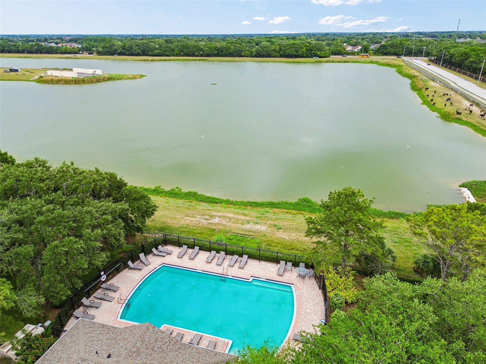 4911 Barnstead Drive Riverview FL 33578 TB8508859 image64
