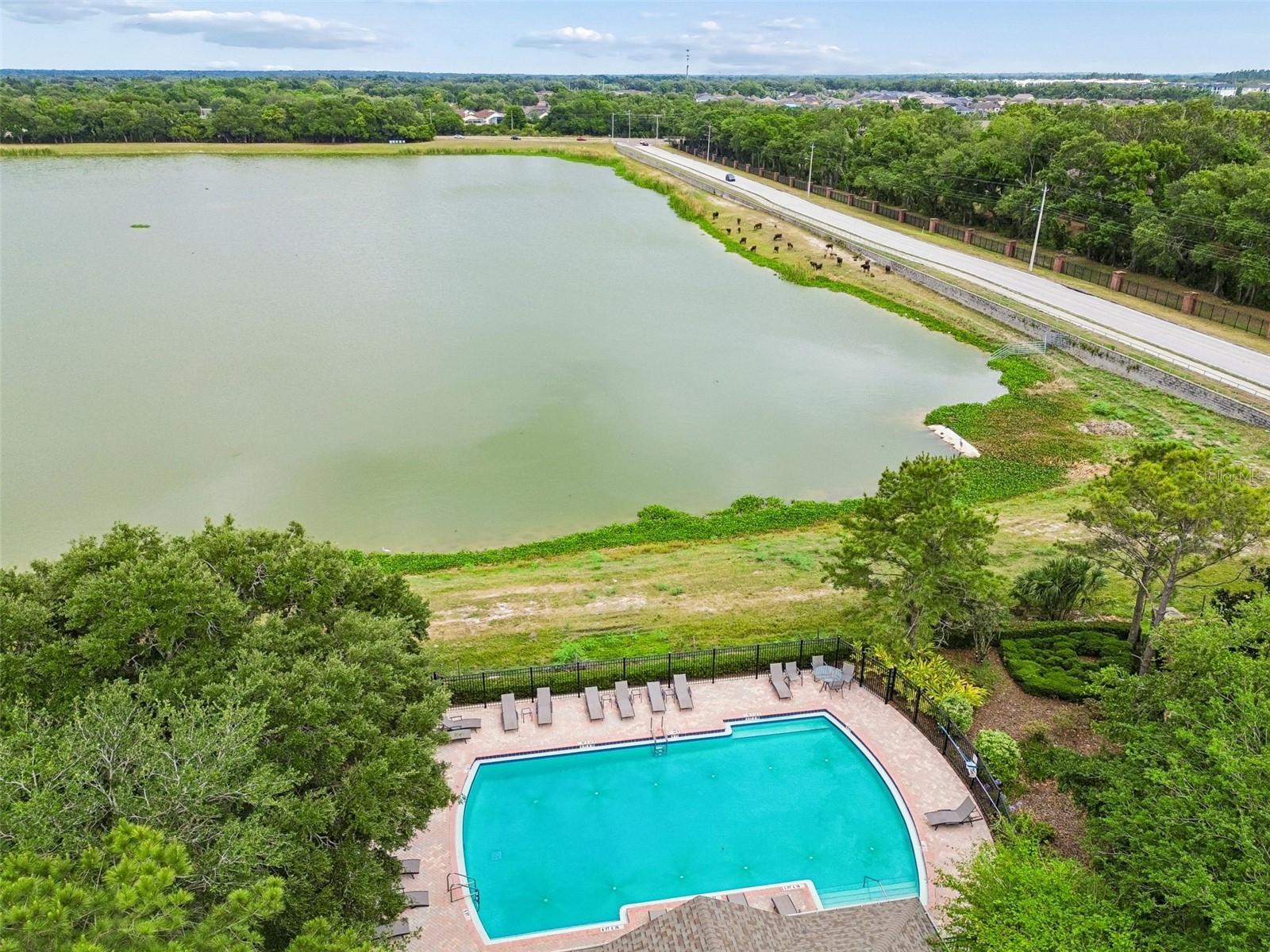 4911 Barnstead Drive Riverview FL 33578 TB8508859 image65