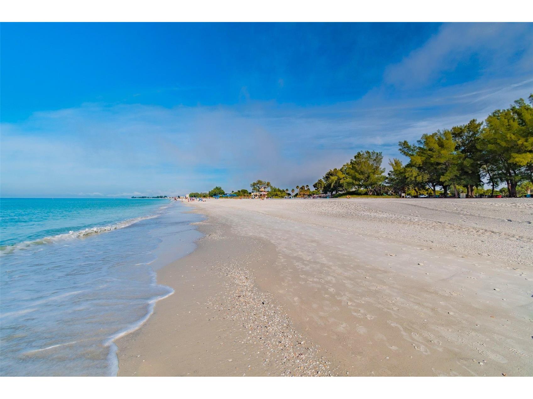 4911 Bimini Drive Bradenton FL 34210 - SARASOTA BAY A4670605 image67