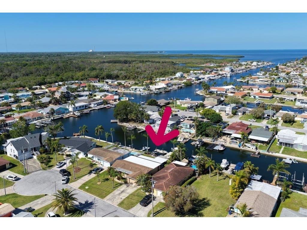 4911 Bonito Drive New Port Richey FL 34652 TB8498816 image36