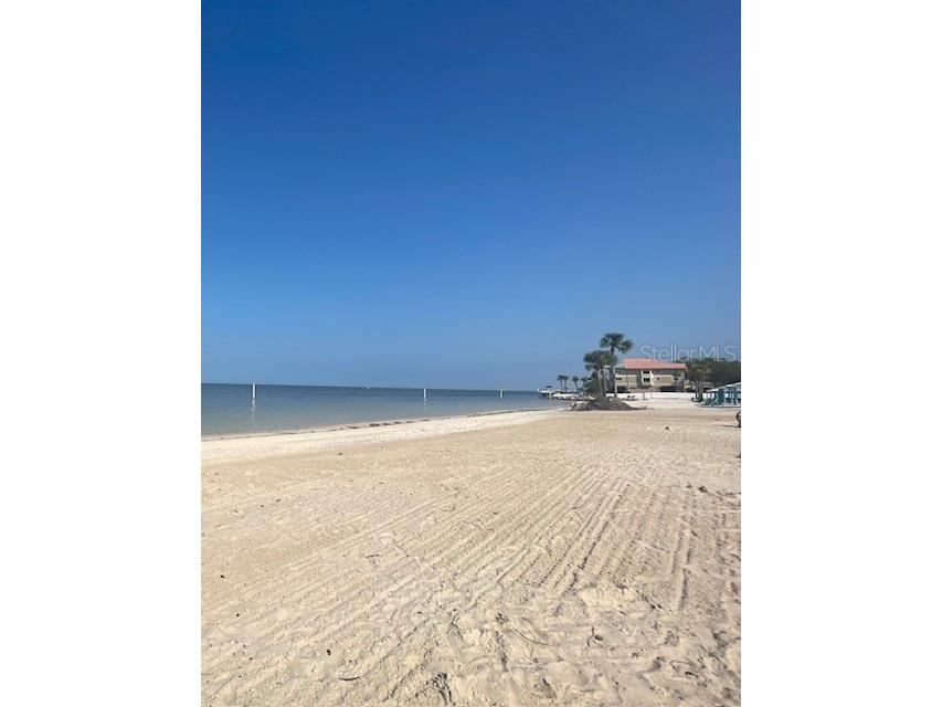 4911 Bonito Drive New Port Richey FL 34652 TB8498816 image45