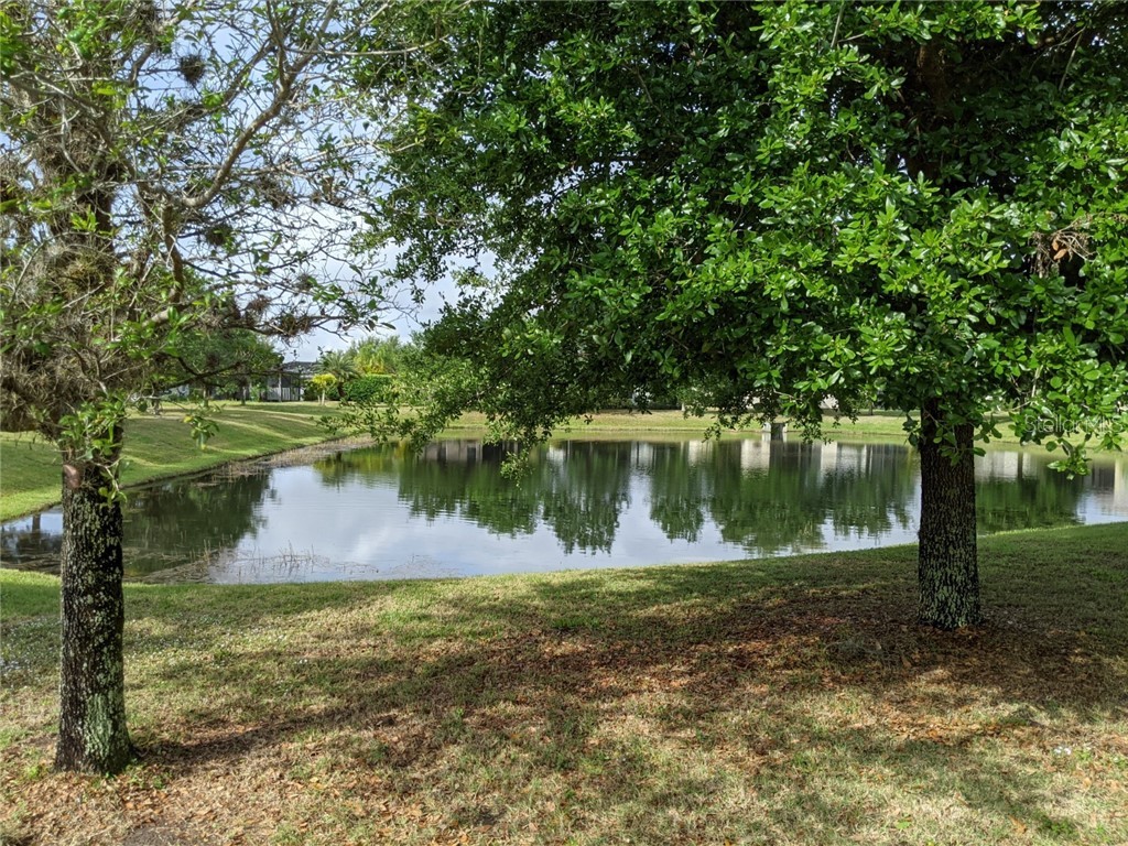 4911 Newport News Circle Lakewood Ranch FL 34211 A4497013 image7