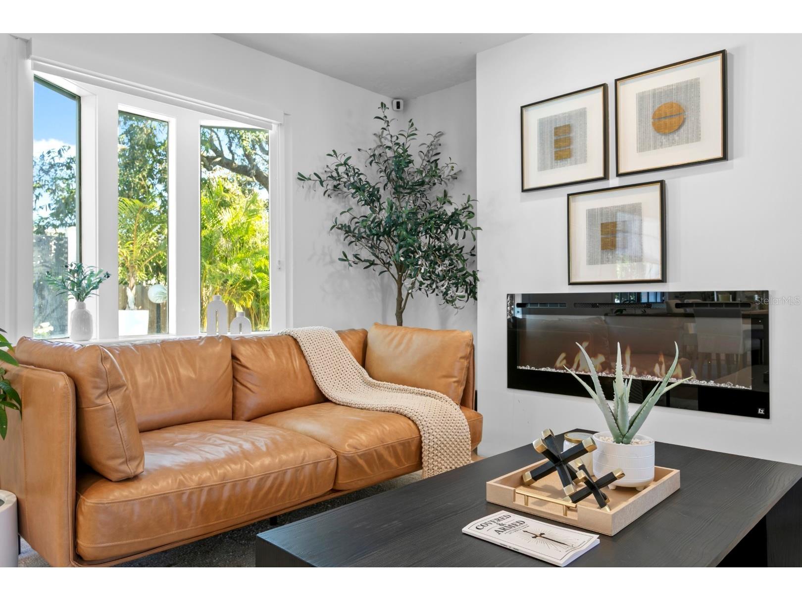 4911 W Bay Way Place Tampa FL 33629 TB8464896 image28