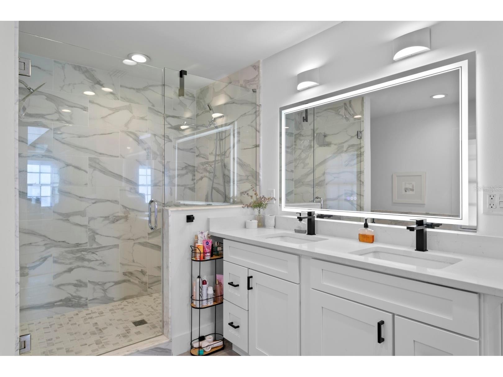 4911 W Bay Way Place Tampa FL 33629 TB8464896 image44