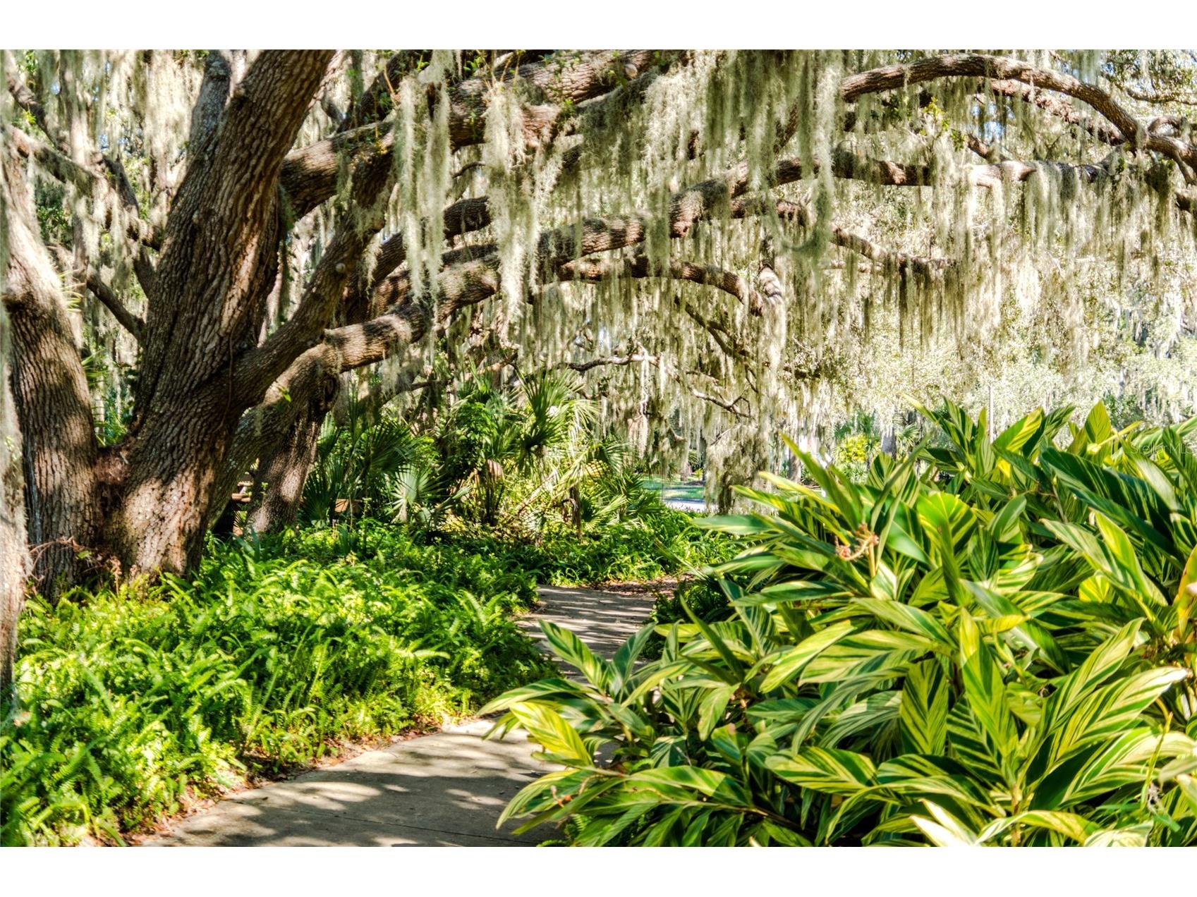 4912 Charles Partin Drive Parrish FL 34219 A4689998 image46