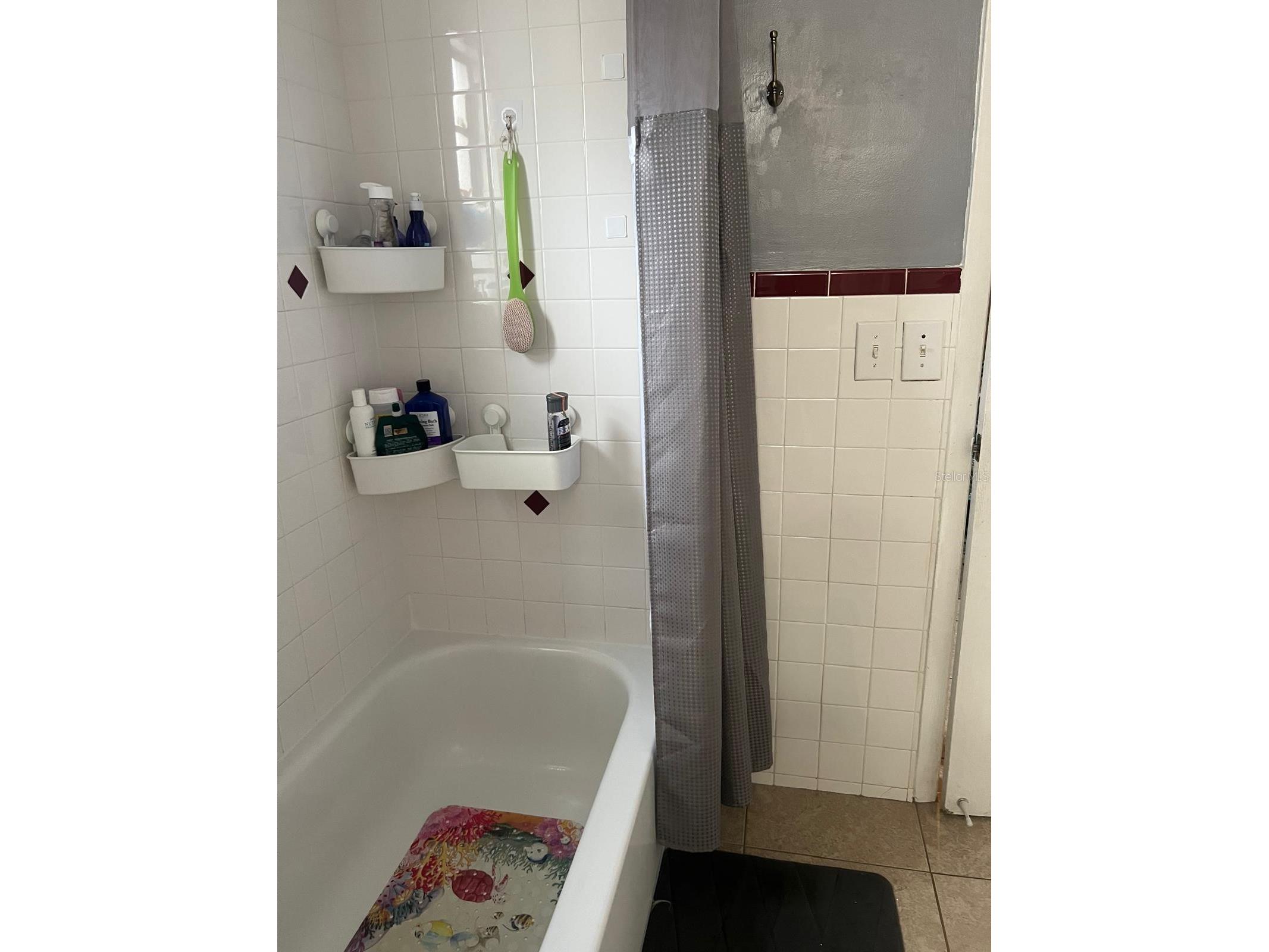 4912 E Serena Drive Tampa FL 33617 TB8483582 image14