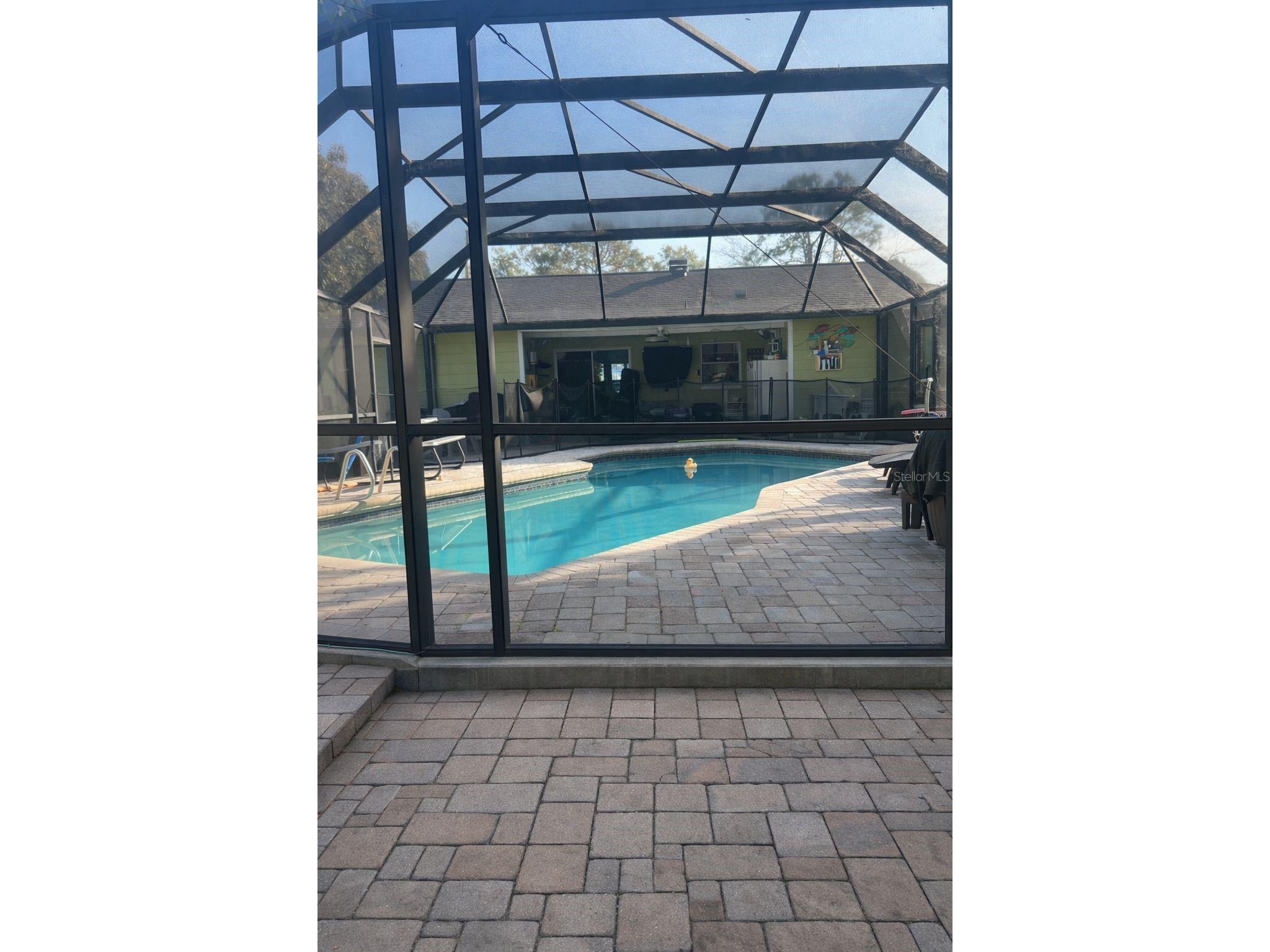 4912 E Serena Drive Tampa FL 33617 TB8483582 image3