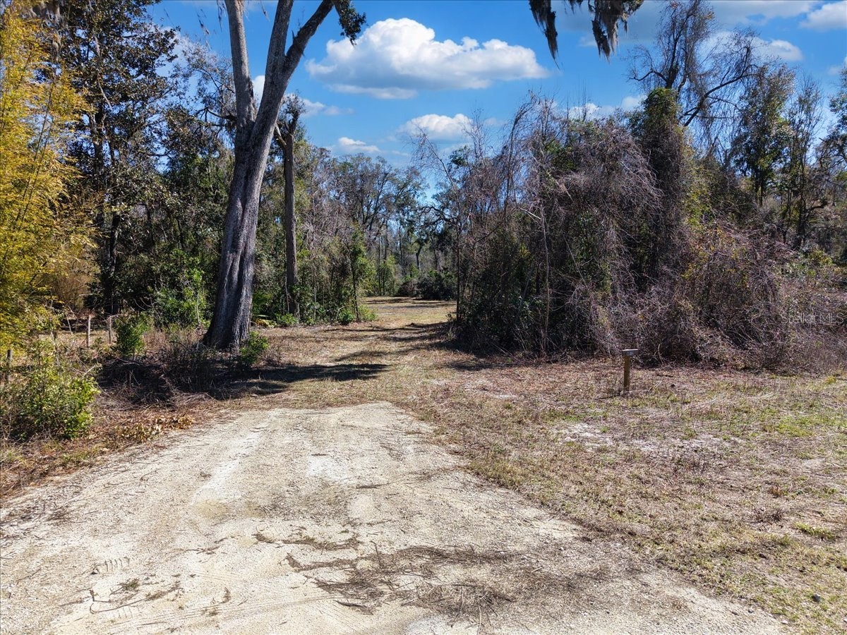 4912 NE Highway 349 Old Town FL 32680 GC537881 image4