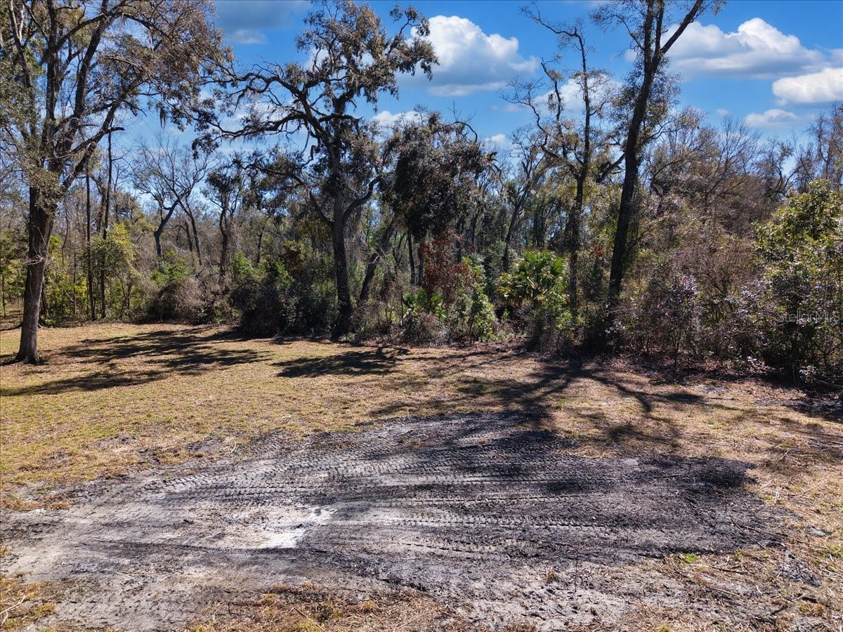 4912 NE Highway 349 Old Town FL 32680 GC537881 image6