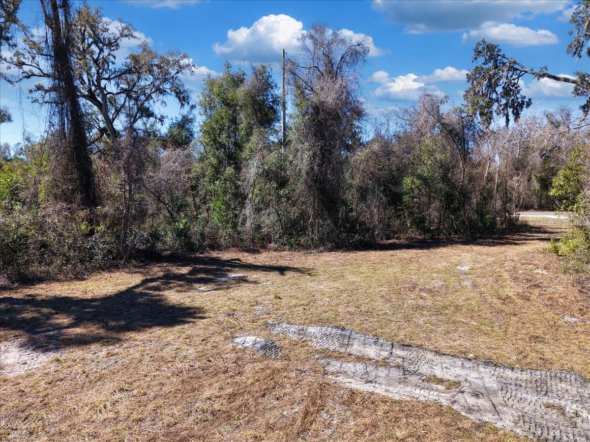 4912 NE Highway 349 Old Town FL 32680 GC537881 image8
