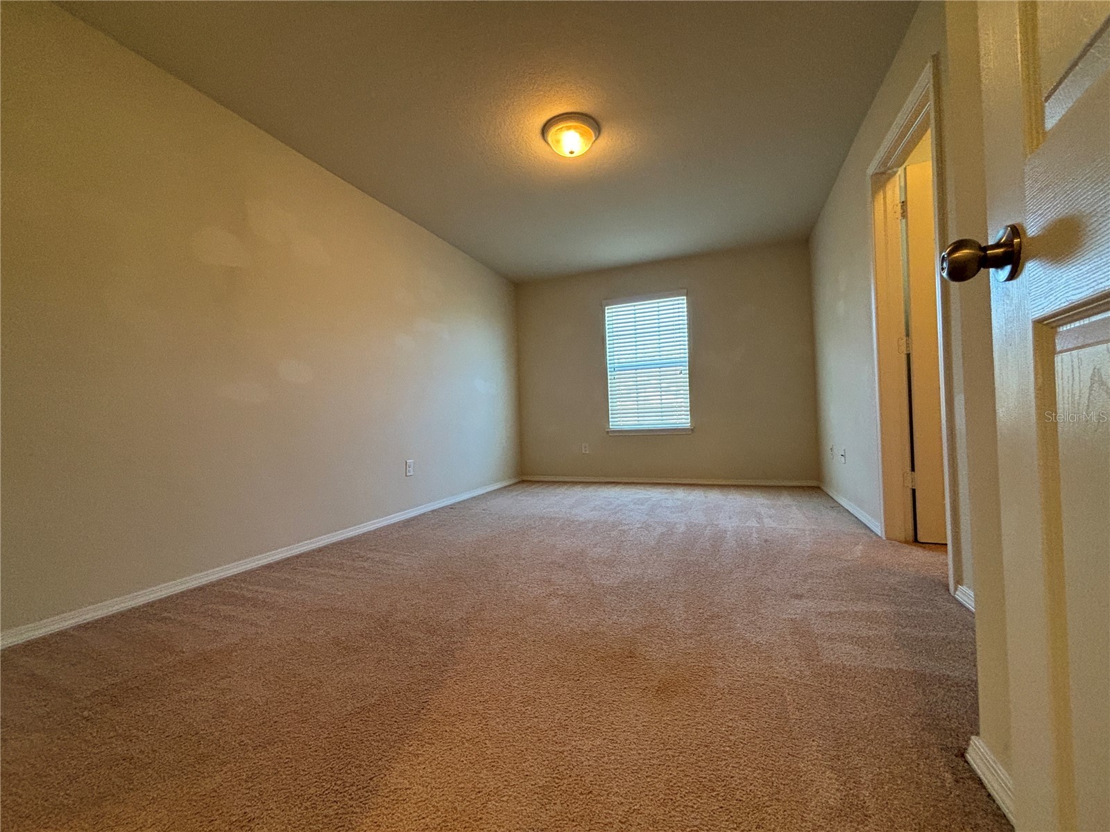4912 White Sanderling Court Tampa FL 33619 TB8492175 image27