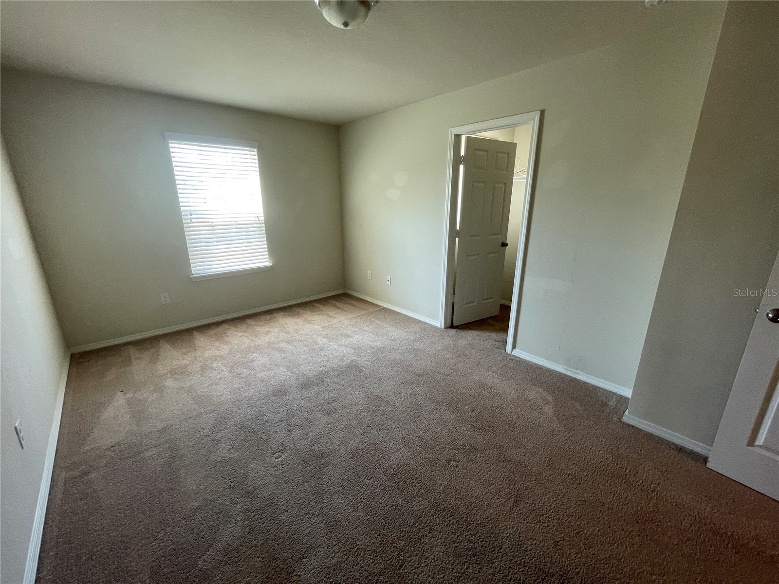 4912 White Sanderling Court Tampa FL 33619 TB8492175 image28