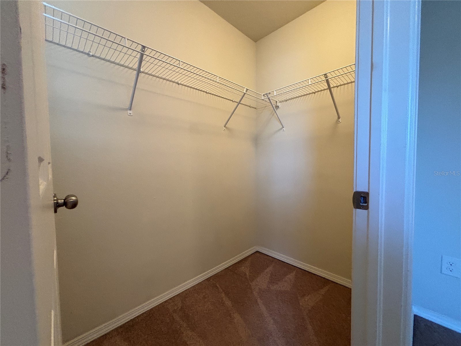 4912 White Sanderling Court Tampa FL 33619 TB8492175 image29