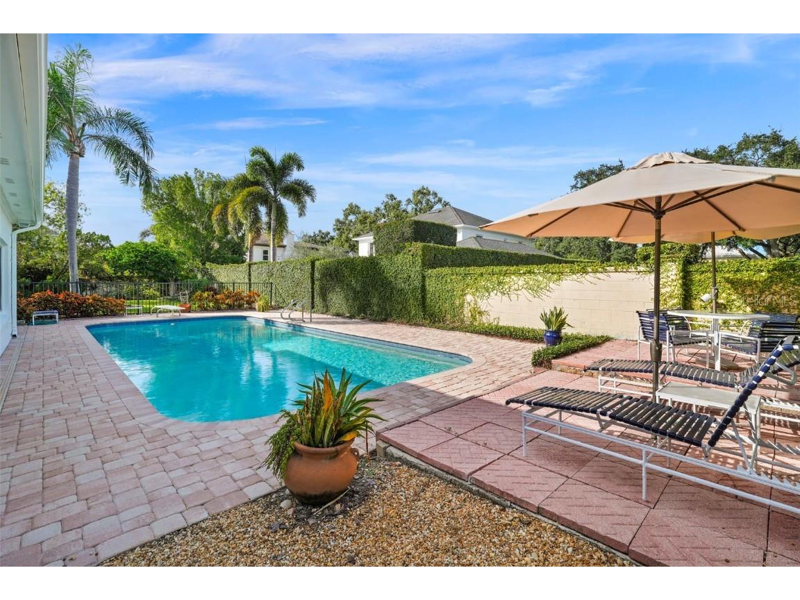 4913 Andros Drive Tampa FL 33629 TB8446997 image26