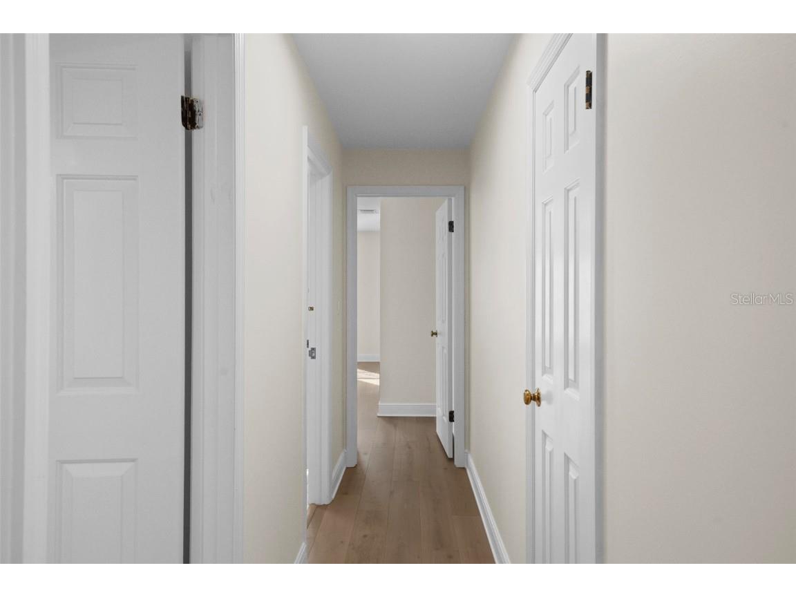 4913 Andros Drive Tampa FL 33629 TB8446997 image37