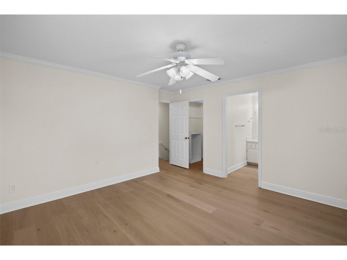 4913 Andros Drive Tampa FL 33629 TB8446997 image44