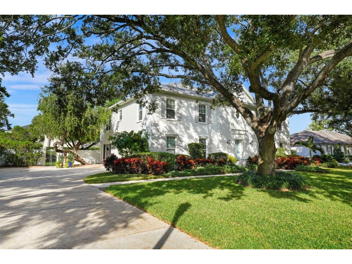 4913 Andros Drive Tampa FL 33629 TB8446997 image56