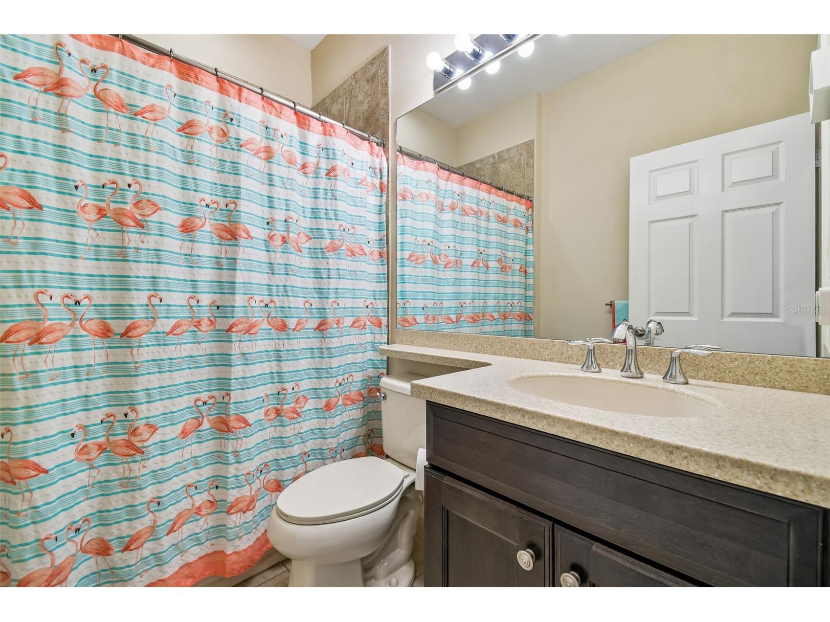 4913 Marble Springs Circle Wimauma FL 33598 TB8481659 image32