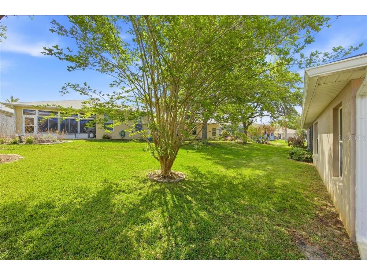 4913 Rainbow Trout Road Tavares FL 32778 G5110176 image25