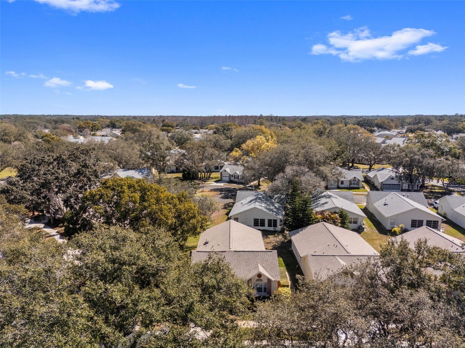 4914 Cathedral Court #4914 New Port Richey FL 34655 TB8473932 image58