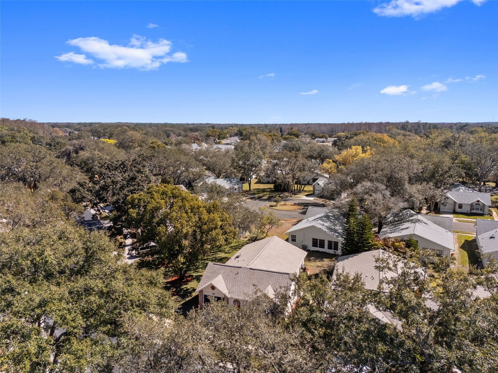 4914 Cathedral Court #4914 New Port Richey FL 34655 TB8473932 image59