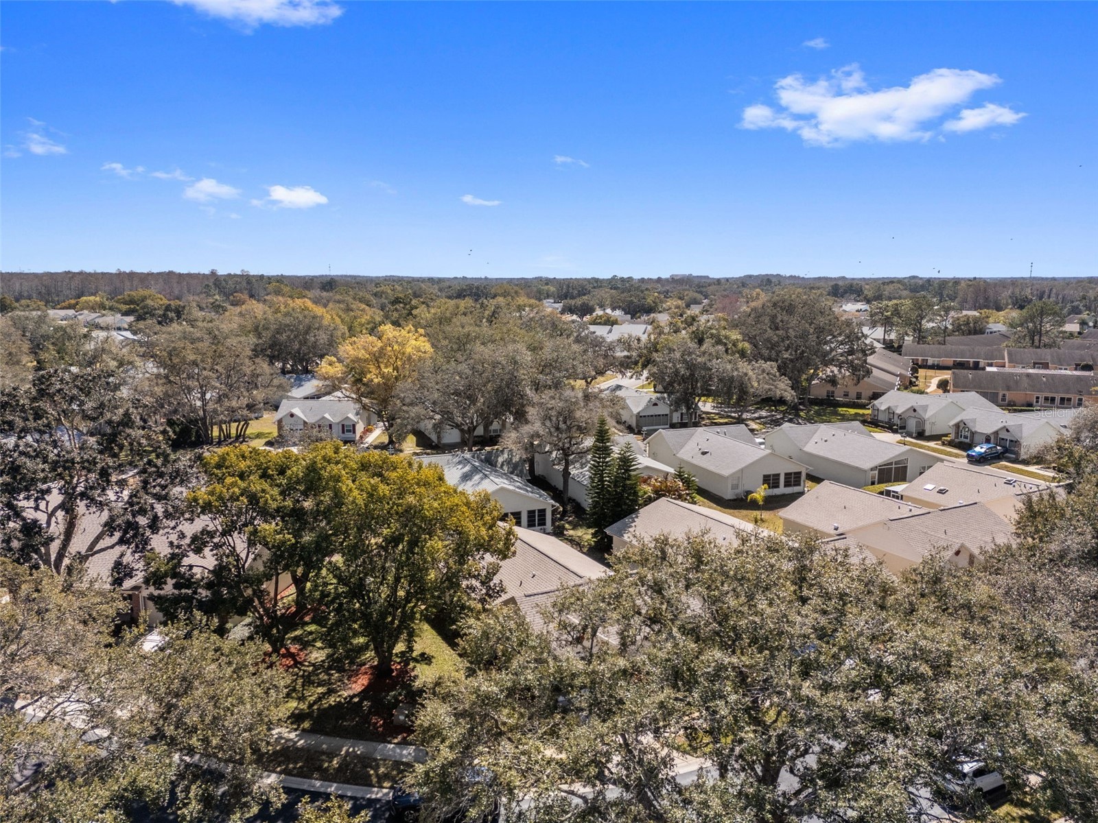 4914 Cathedral Court #4914 New Port Richey FL 34655 TB8473932 image60