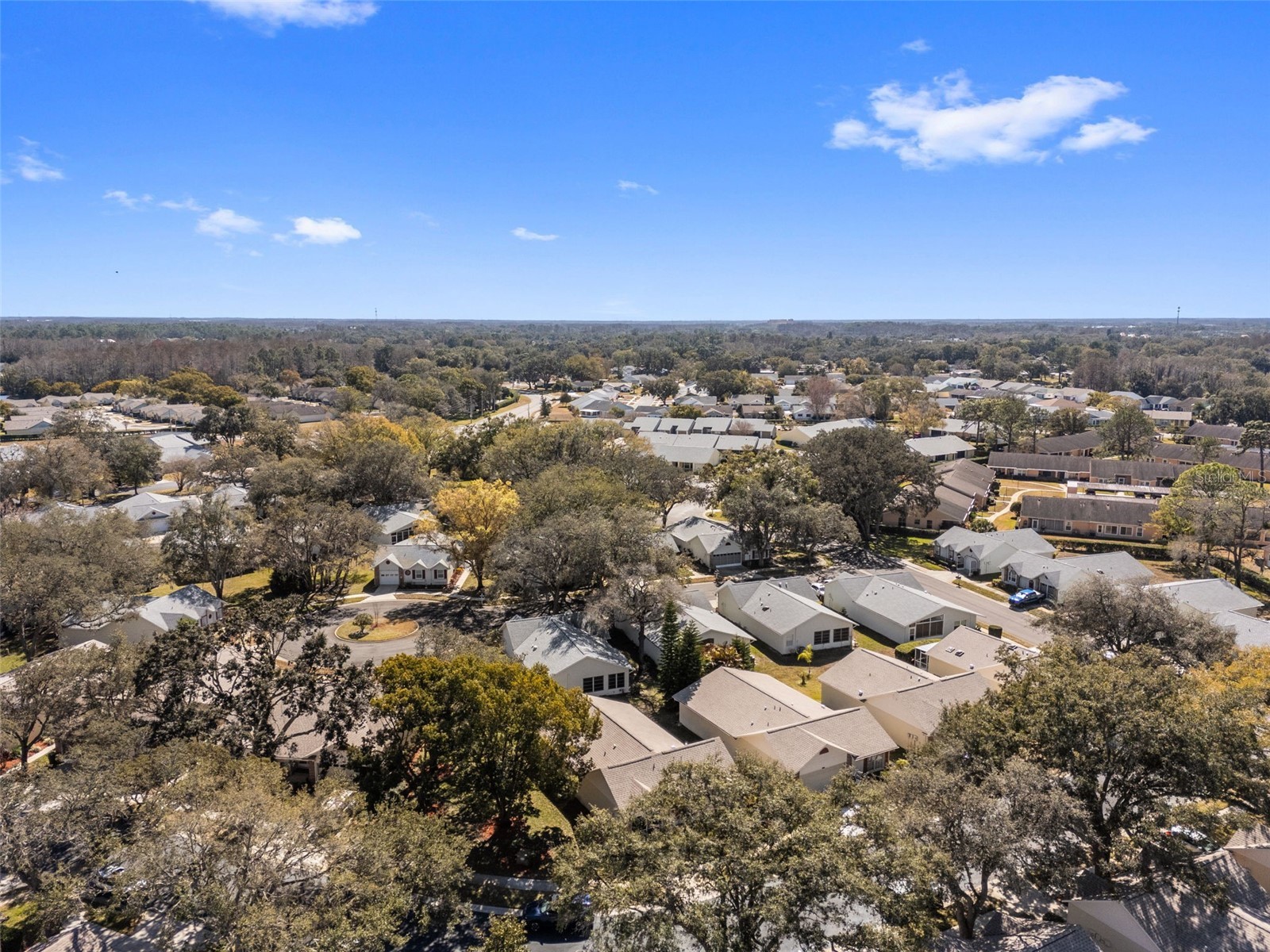 4914 Cathedral Court #4914 New Port Richey FL 34655 TB8473932 image61