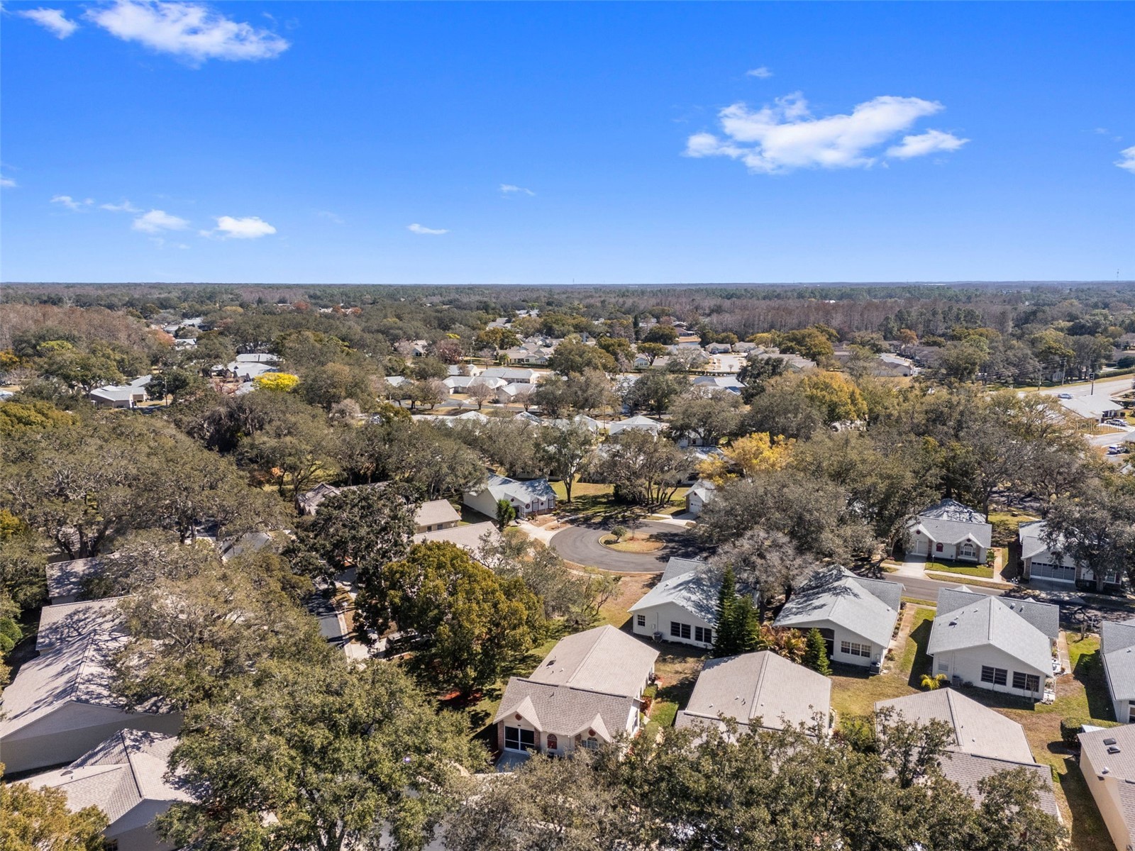 4914 Cathedral Court #4914 New Port Richey FL 34655 TB8473932 image63