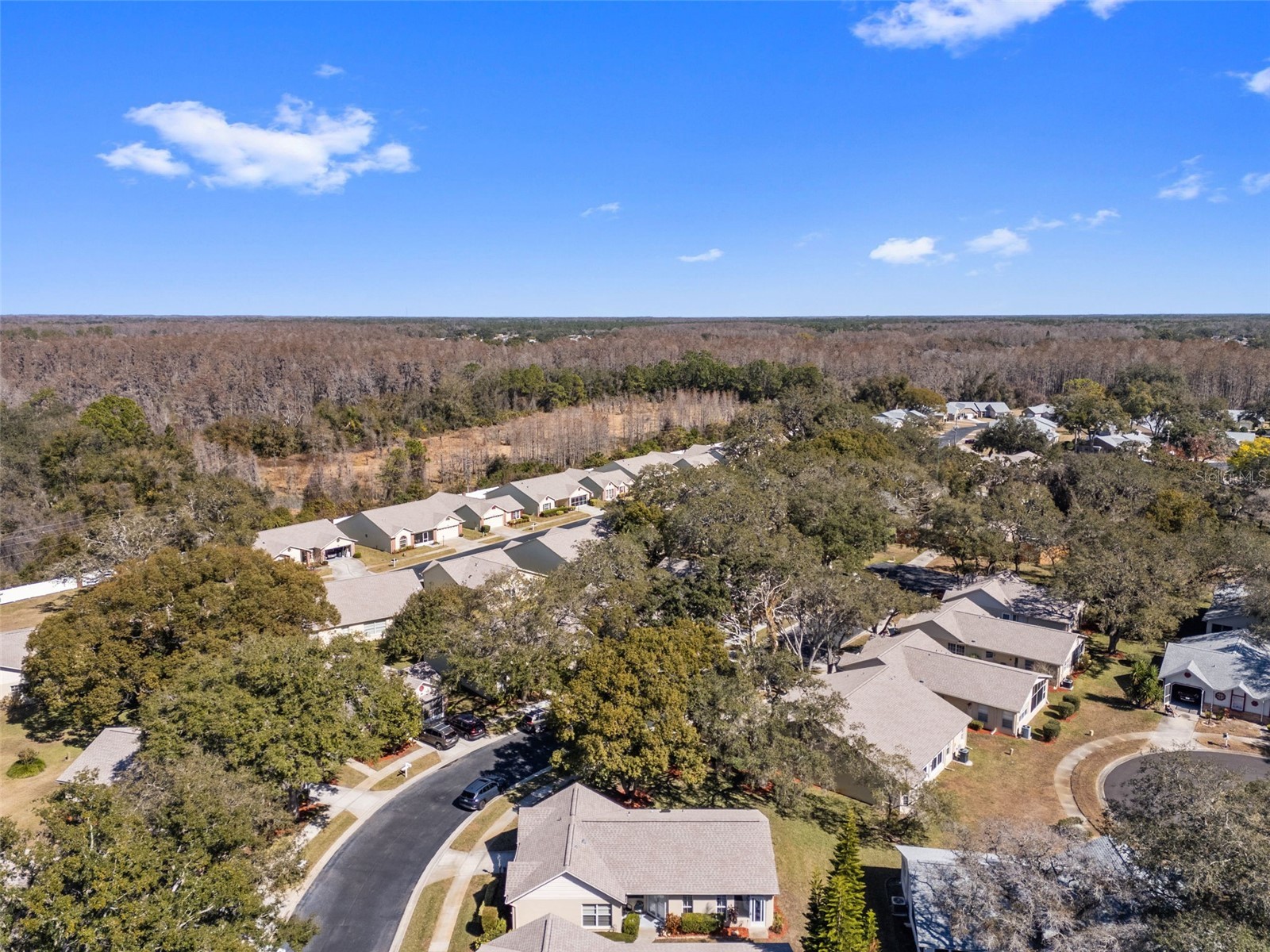 4914 Cathedral Court #4914 New Port Richey FL 34655 TB8473932 image64