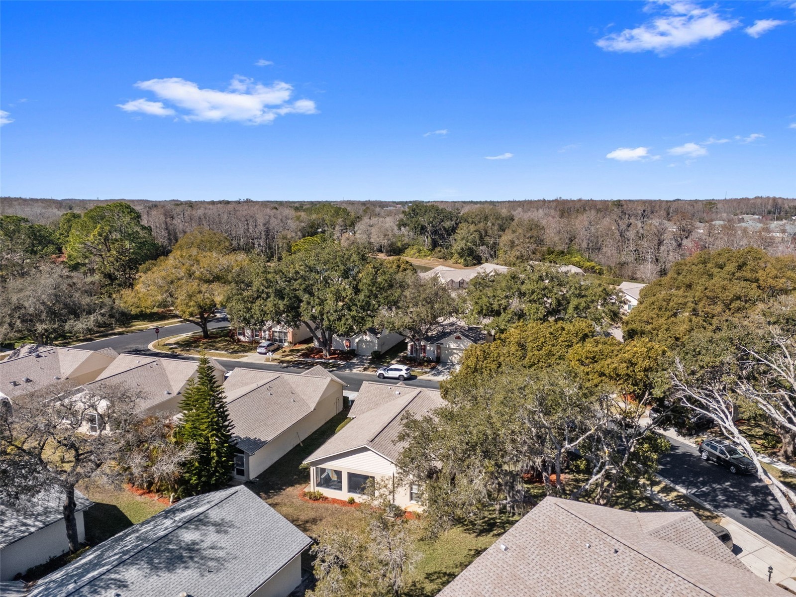 4914 Cathedral Court #4914 New Port Richey FL 34655 TB8473932 image68