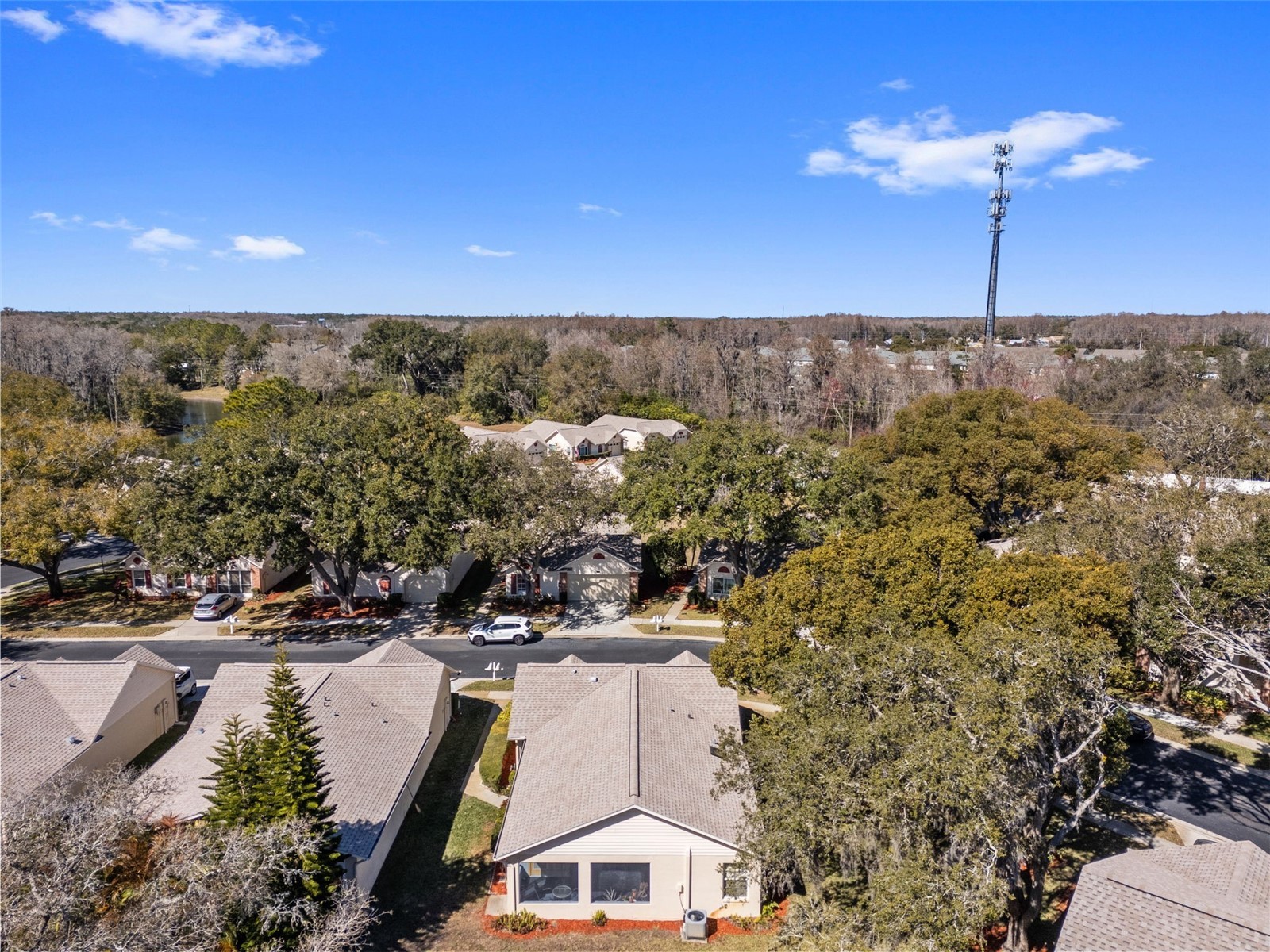 4914 Cathedral Court #4914 New Port Richey FL 34655 TB8473932 image69