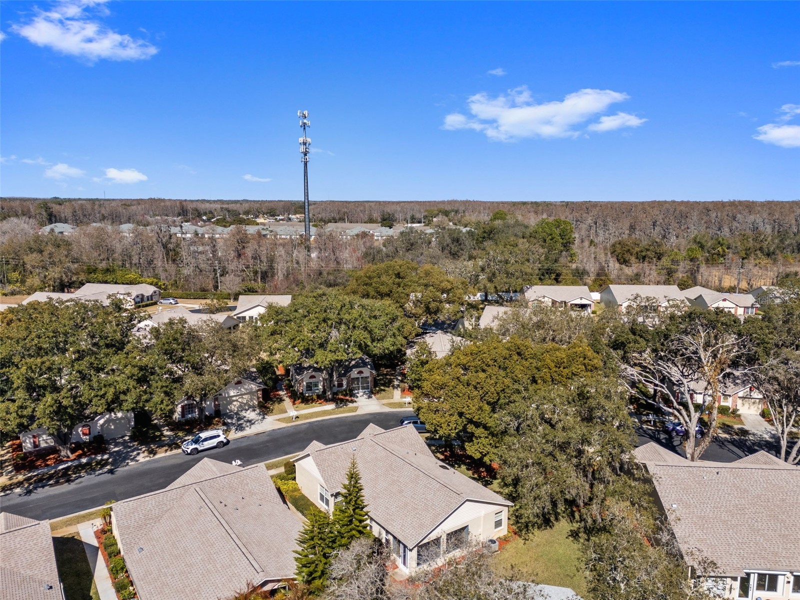 4914 Cathedral Court #4914 New Port Richey FL 34655 TB8473932 image70