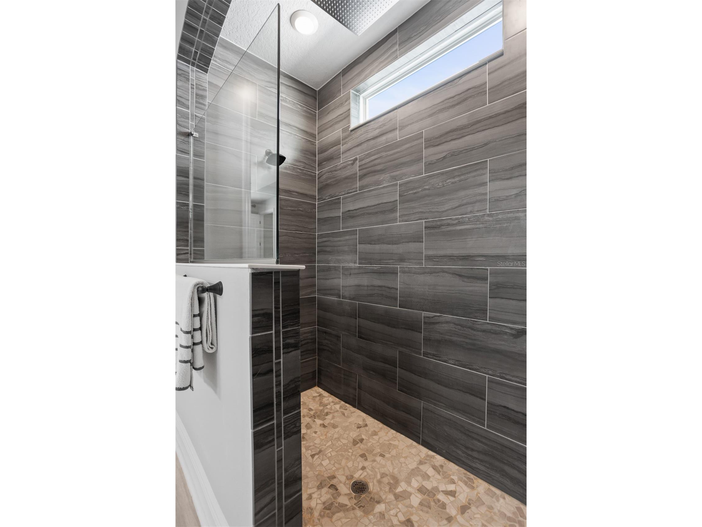 4914 Lakeshore Oaks Court Tampa FL 33624 TB8501426 image17