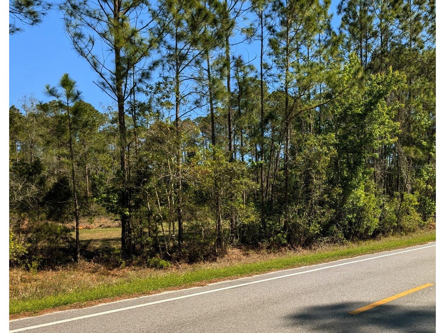 4914 Mahogany Boulevard Bunnell FL 32110 FC317139 image11